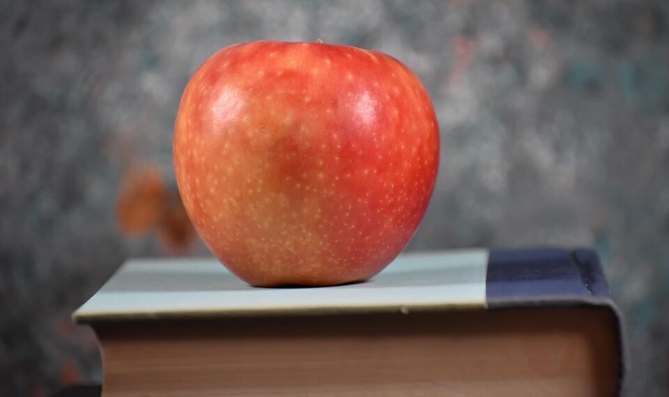 The Power of Integrity: How Authentic Leadership Values Drive Success