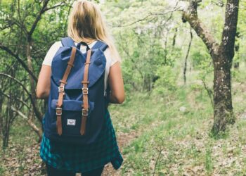 10 Essential Tips for Maintaining a Healthy Lifestyle: A Comprehensive Guide