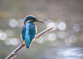 Unlocking the Power of Perseverance: Inspiring Success Stories to Fuel Your Motivation