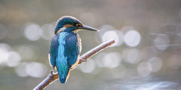 Unlocking the Power of Perseverance: Inspiring Success Stories to Fuel Your Motivation