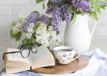 Embracing Simplicity: The Ultimate Guide to Minimalist Living for a Clutter-Free Life