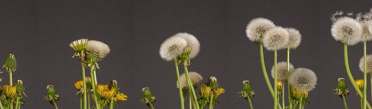 10 Game-Changing Productivity Hacks to Boost Efficiency: A Comprehensive Guide for Maximizing Your Time