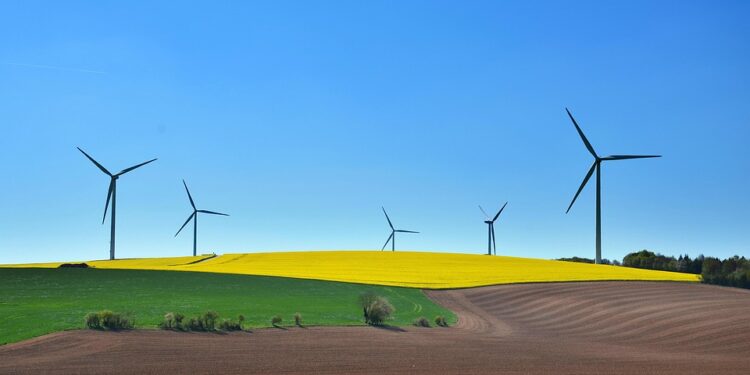 Mastering Self-Discipline: The Ultimate Guide to Achieving Your Goals